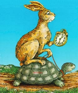 Turtle-rabbit2
